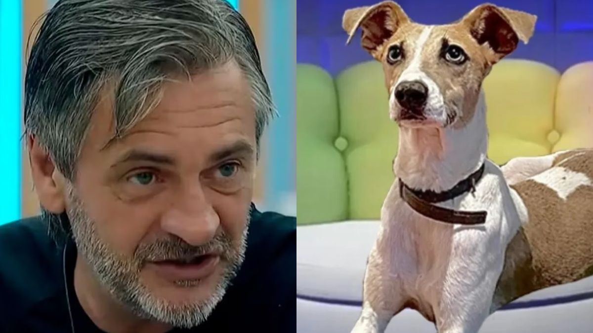 Preocupación en Gran Hermano con Arturo tras su inesperado ataque a Darío: el video