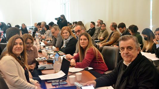 La oposición convocó a una sesión especial para tratar el proyecto de Boleta Única para el 8 de junio