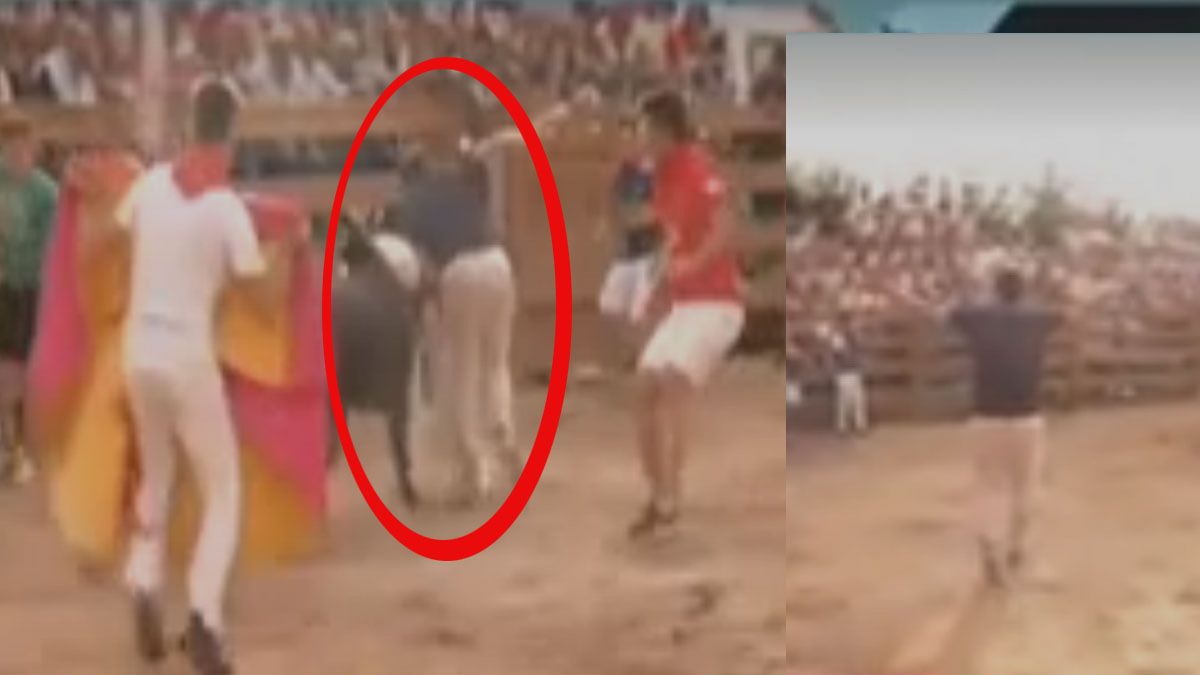 A prueba de toros. El periodista embestido por un toro Ileso. (Foto: Captura de TV)