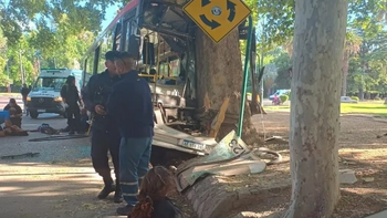 Heroico: las últimas palabras del colectivero que murió al chocar contra un árbol