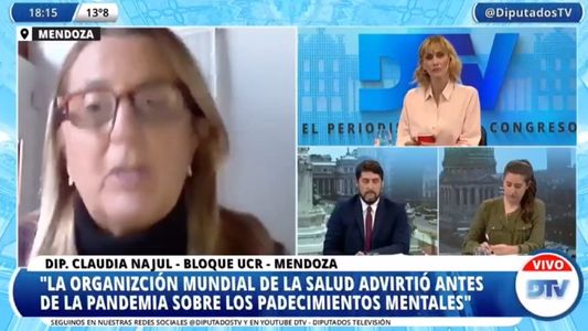 Diputados se refirieron a la necesidad de trabajar en la Ley de Salud Mental