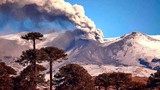 Volcanes en Argentina: ¿existe la posibilidad de que ocurra un desastre como el de España?