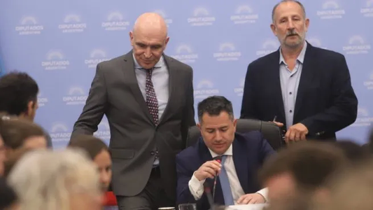 Diputados retomará el trabajo el lunes para escuchar a sectores alcanzados por la Ley Ómnibus