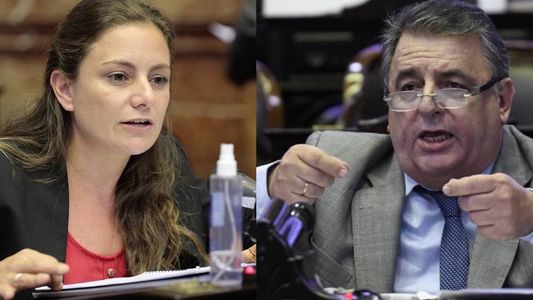 Juicio a la Corte: una diputada del Frente de Todos tildó a Mario Negri de machirulo