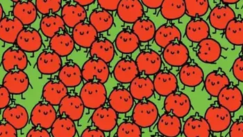 Desafío visual: encontrá la manzana intrusa entre los tomates en menos de 10 segundos