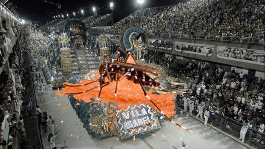 Dengue: Río de Janeiro declara la emergencia y se teme por la organización del Carnaval