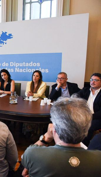 Diputados peronistas piden juicio político a Diana Mondino por su acuerdo con Reino Unido en torno a Malvinas