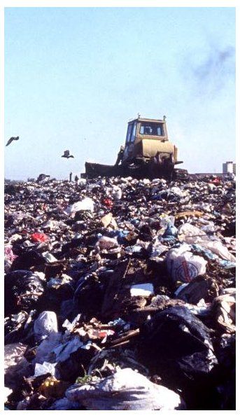 ¿Qué implica la modificación del decreto de importación de basura? Un debate con ambientalistas, cartoneros y funcionarios