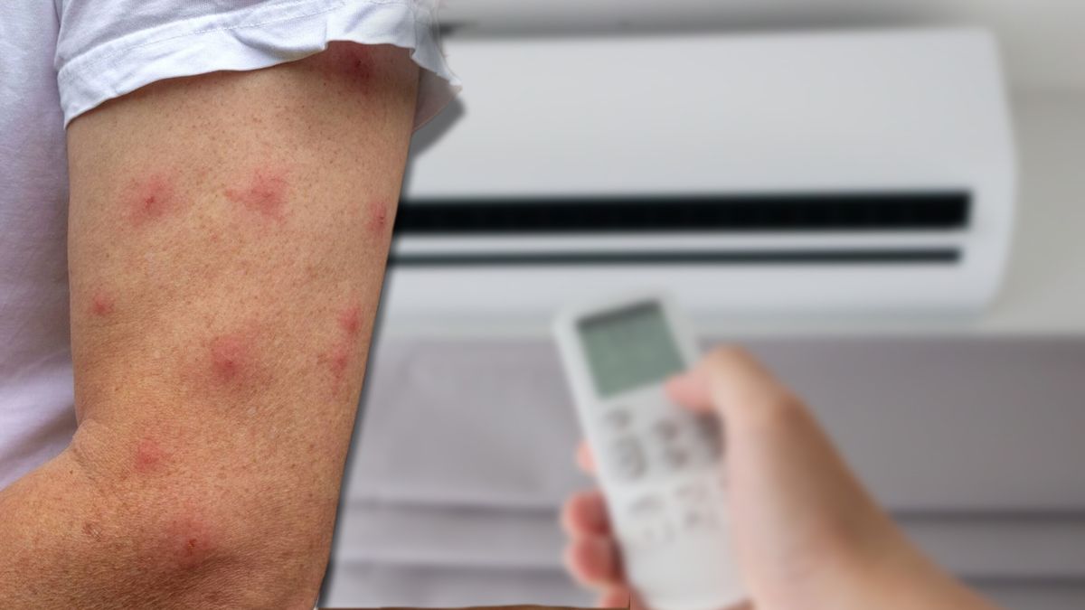 Mosquitos invasión en CABA y Buenos Aires: qué pasa si prendo el aire acondicionado