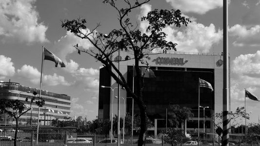 OMS vs CONMEBOL: por los protocolos sanitarios enfrentados, Libertad jugaría bajo protesta ante Boca