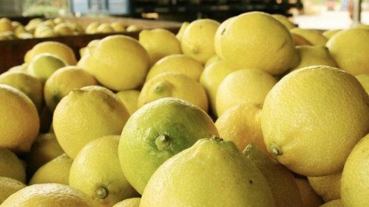 Poco conforme: CAME busca que las retenciones a economías regionales bajen aún más