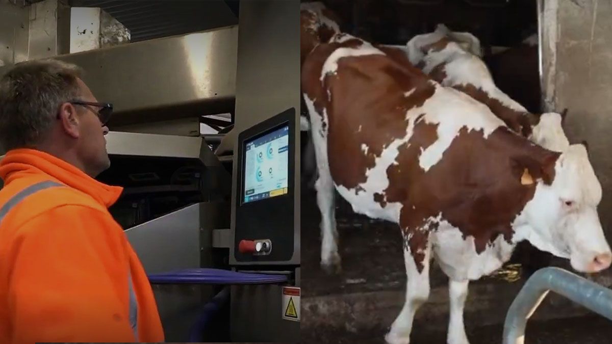 Los controles habituales al ganado y animales de corral en Francia. Este caso de zoonosis provoca alerta. (foto: Captura de TV)