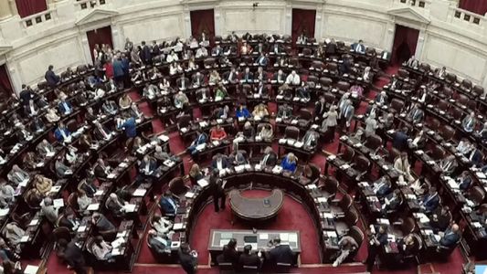 Desafío para Milei: la oposición logró el quórum para debatir los vetos a la Ley de Financiamiento Universitario y de Emergencia Pediátrica