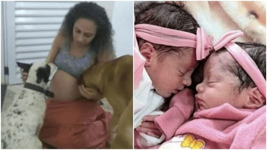 Horror en Brasil: la historia del perro que mató a dos bebas recién nacidas