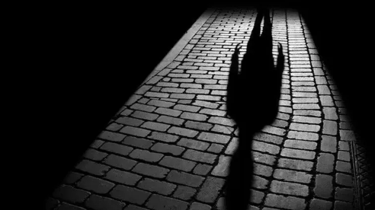 Una sombra en la pared puede revelar más de lo que muestra: lo oculto también es parte del todo. Foto: Sombra/Internet/Sueño.