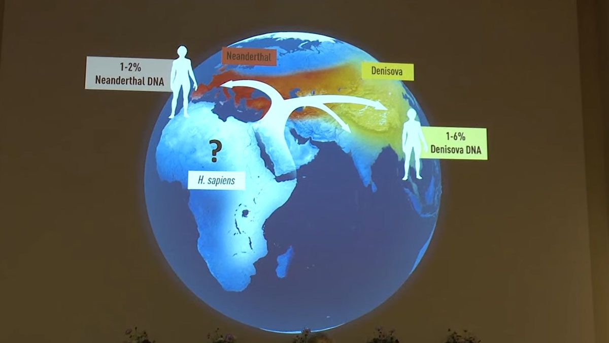 El hombre de neanderthal, ¿un antepasado del hombre o una rama diferente de la evolución? (Foto: Comité del Premio Nobel)
