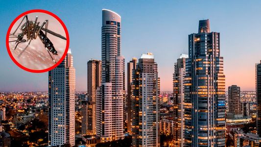 El mosquito del dengue puede llegar a edificios altos
