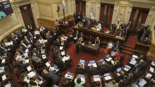 El Senado aprobó la suspensión de las PASO en una sesión cargada de tensiones por el escándalo cripto