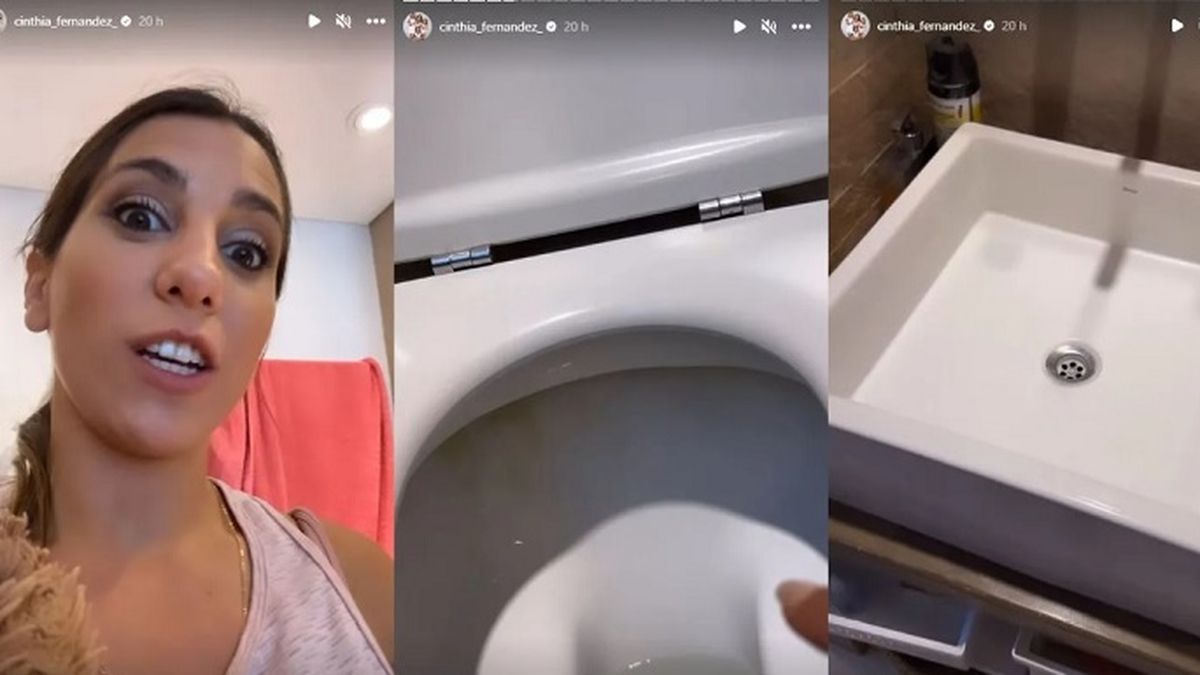 Cinthia Fernández contó que quiere regalar los inodoros y el resto de los artefactos viejos que renovará en los cinco baños de su casa. 