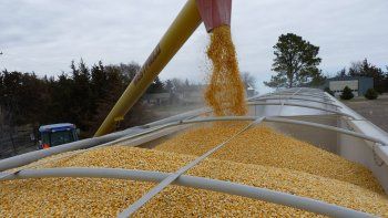 El mercado climático de Estados Unidos comenzó y dio volatilidad al mercado de soja y maíz