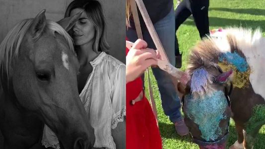 Delfina Blaquier pintó a un caballo y despertó la polémica en las redes