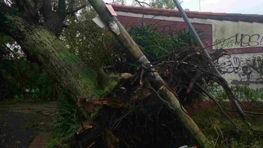 Por el temporal murieron dos personas electrocutadas y hay más de 500 evacuados