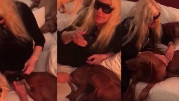 Susana Giménez le puso ropa interior a su perra Rita en medio de una discusión con su hija