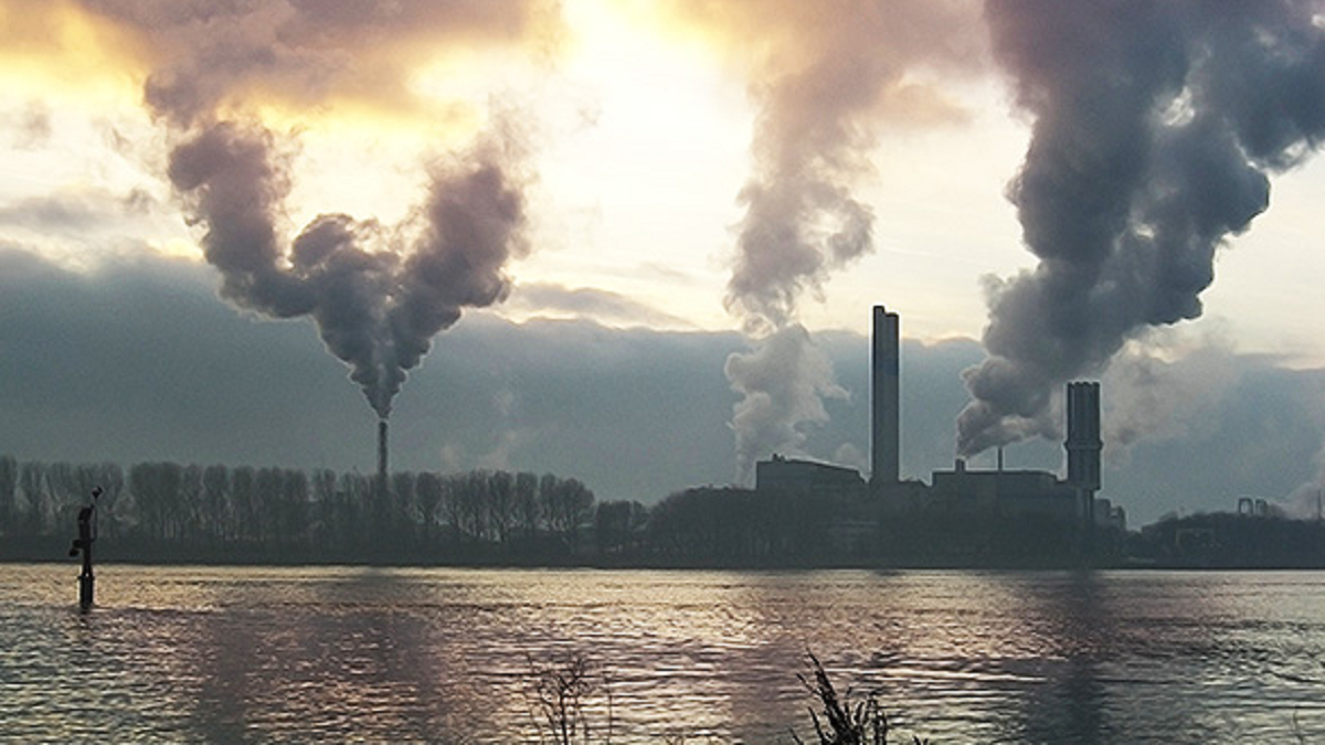 Casi 200 países se reunirán en forma virtual para acercar posiciones sobre el cambio climático.