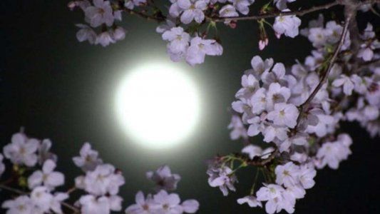 Luna llena mayo 2020: ¿a qué hora y en dónde se podrá ver?