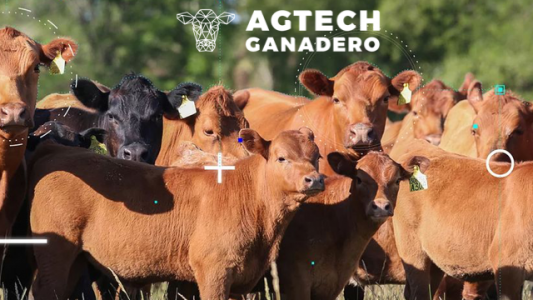 Últimos días para inscribirse al premio Agtech Ganadero de la Sociedad Rural Argentina