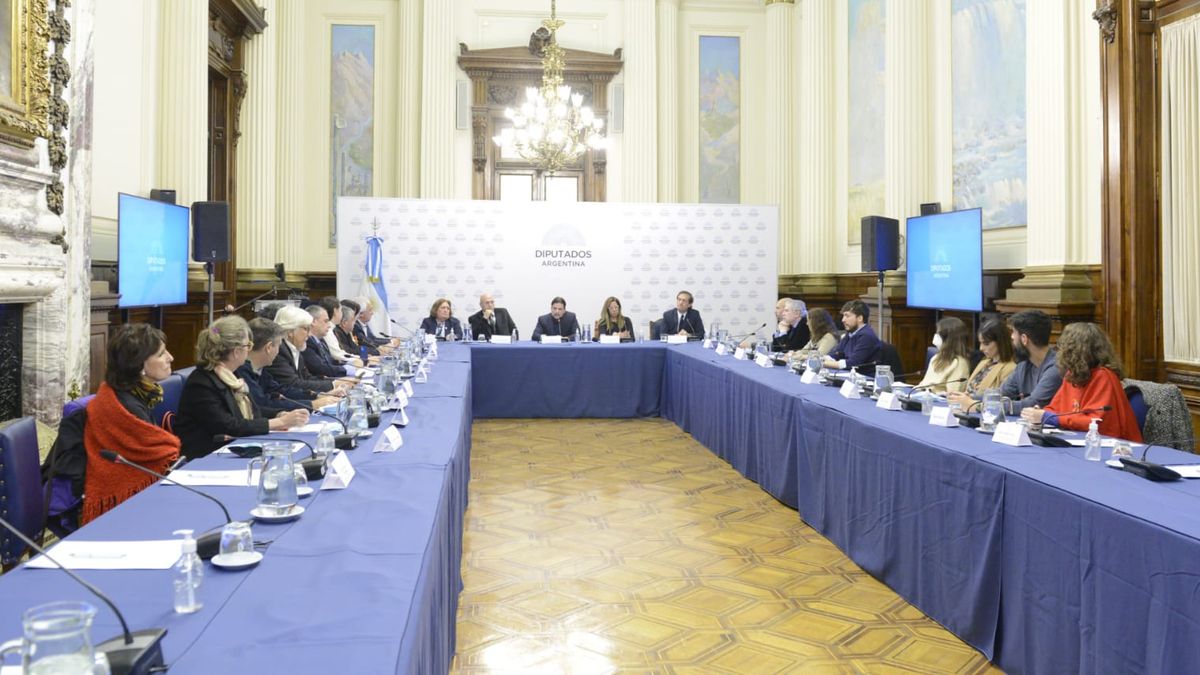 Diputados organizó la jornada Esclerosis múltiple: escenario actual en la Argentina