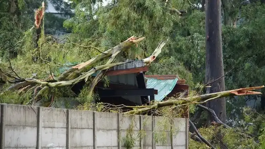 Tornado en Santa Fe: un muerto, voladuras de techos, caída de árboles y rutas cortadas