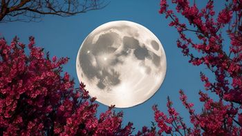 Los 4 signos bendecidos por la luna llena de las flores de mayo que vivirán una etapa decisiva