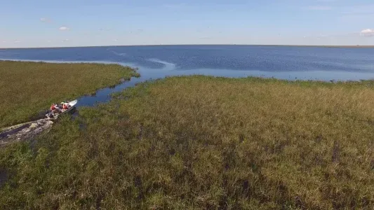 ¿Cómo llegar a los Esteros del Iberá?