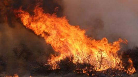 Promulgan la nueva ley de Manejo del Fuego que prohíbe por 30 años la venta de tierras agrícolas incendiadas