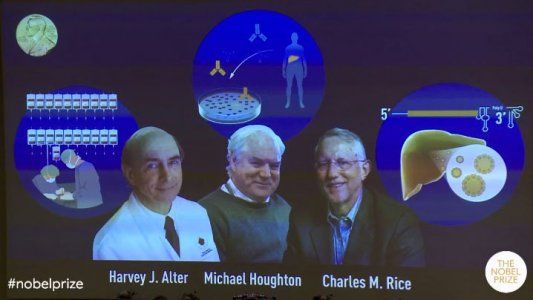 Distinguen con el Nobel de Medicina a los descubridores del virus de la hepatitis C