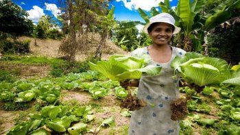 La batalla por el futuro de la alimentación