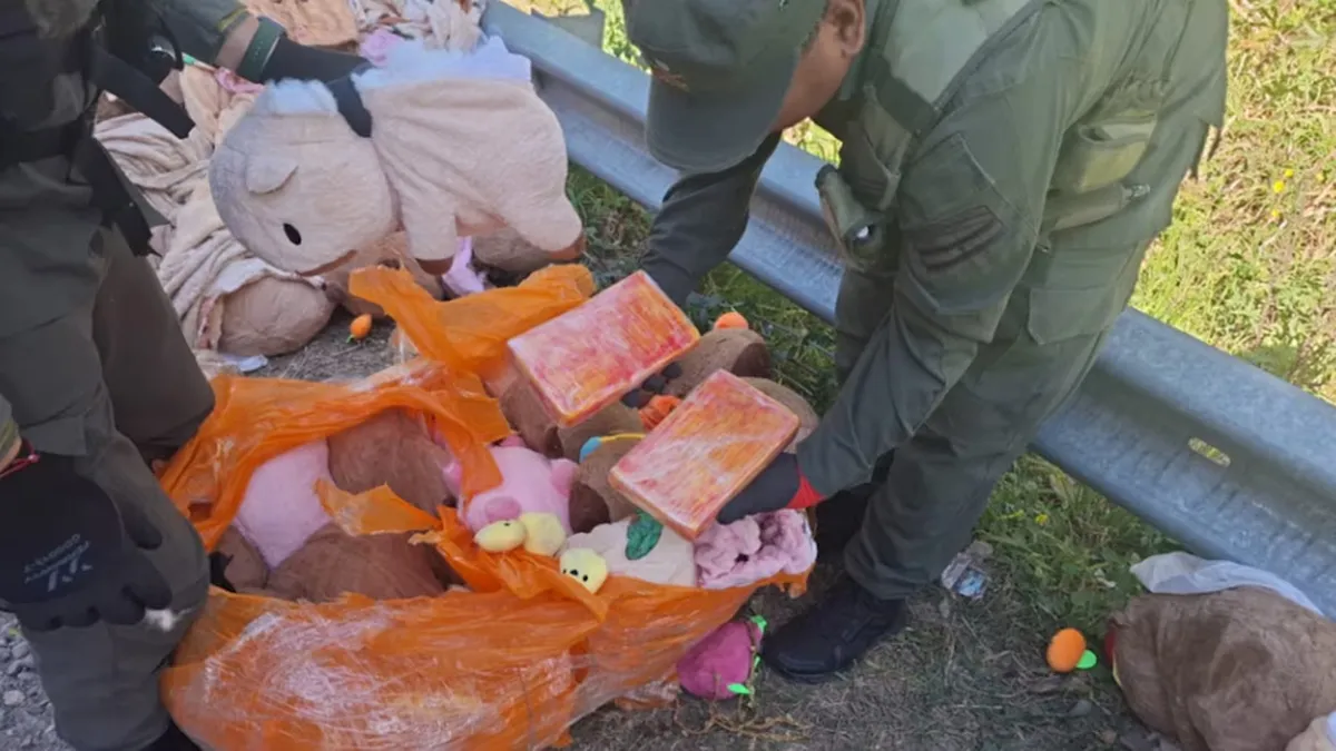 Los agentes avanzaron con la inspecci&oacute;n de la mercader&iacute;a y las pertenencias que trasladaban las personas a bordo.