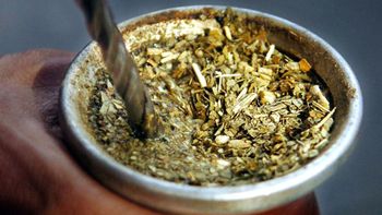 No tires más la yerba del mate, tenés un tesoro en tu casa: el método casero para reutilizarla