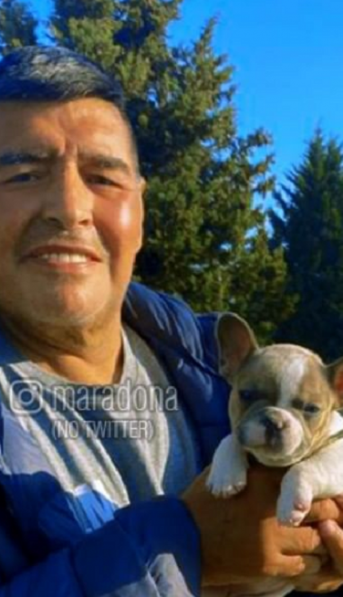 Cómo sigue la salud de Diego Maradona tras la exitosa operación de urgencia