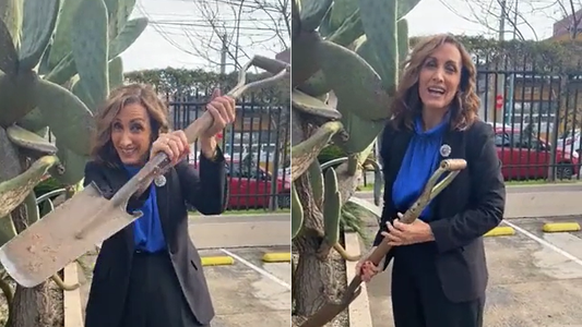 Florencia Arietto chicaneó a los piqueteros que marcharán a La Rural: ¡Mirá con lo que te esperamos!