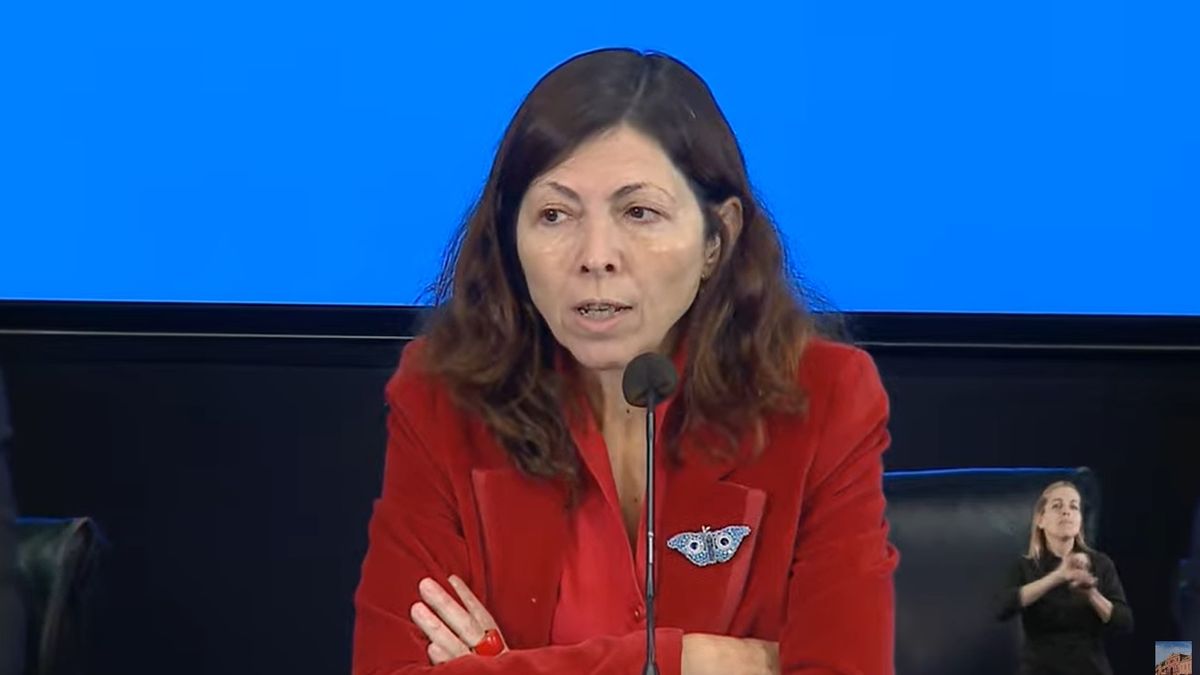 Silvina Batakis anunció las nuevas medidas económicas: equilibrio fiscal, tarifas, brecha cambiaria, precios y FMI (Foto: captura de TV).