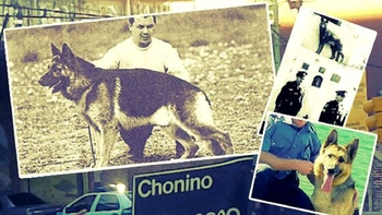 ¿Quién fue Chonino? La historia del ovejero alemán por el que se conmemora el Día del Perro