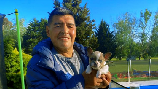 Cómo sigue la salud de Diego Maradona tras la exitosa operación de urgencia