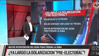 El gobierno preocupado por los movimientos del dólar cuando inicia la campaña electoral (Captura de TV)
