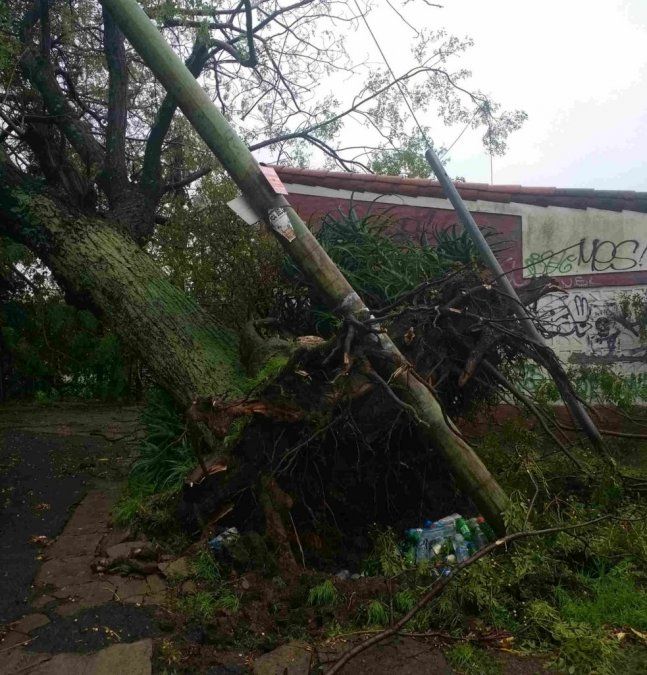 Por el temporal murieron dos personas electrocutadas y hay más de 500 evacuados
