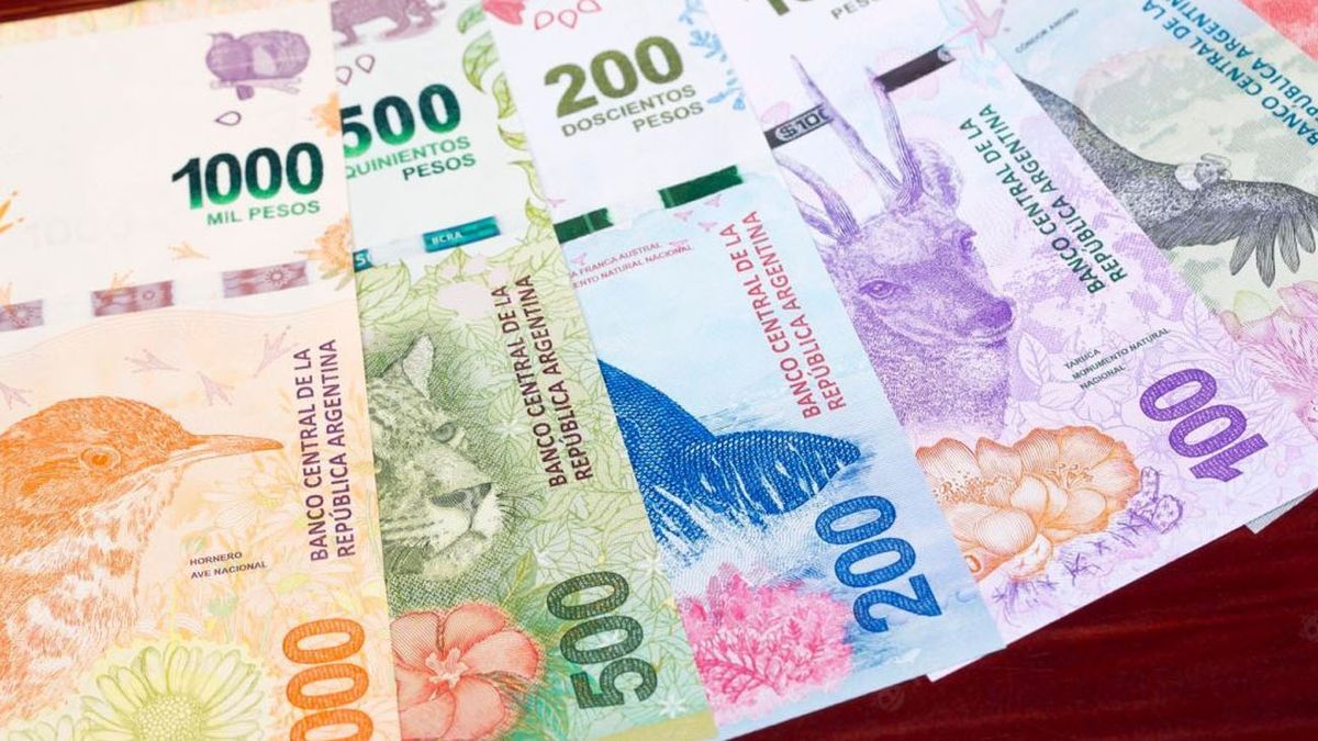 NUEVA TASA de interés para el PLAZO FIJO: cuánto gano depositando $850 mil (Foto: archivo)