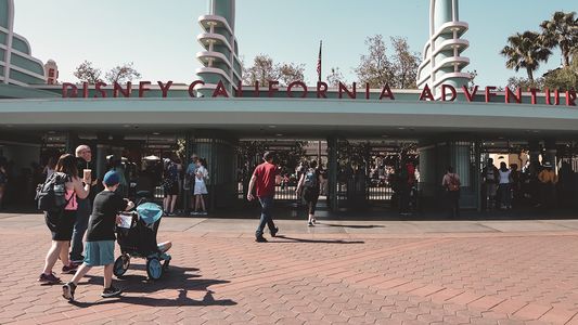 Llevaron a Disney a la niñera y esta foto le hizo ver a la mujer que era la amante de su esposo