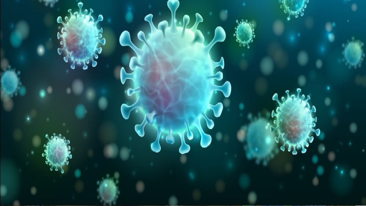 El virus de Nipah, puede llegar a tener hasta un 75 % de mortalidad en casos de contagiar al ser humano. (Foto: Gentileza El Telégrafo)