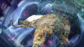 ¿Regresan los mamuts? El avance que podría volver a la vida al mamífero más grande sobre la Tierra